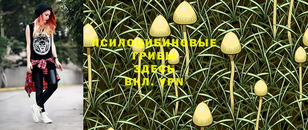 мет Бугульма